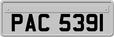 PAC5391