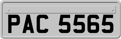 PAC5565