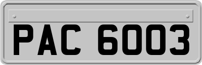 PAC6003