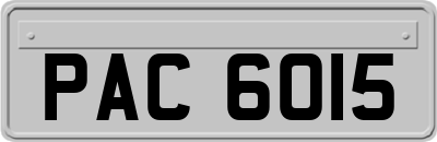 PAC6015