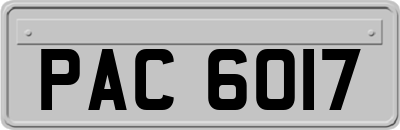 PAC6017