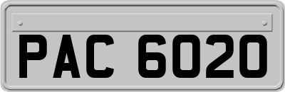 PAC6020