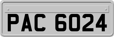 PAC6024