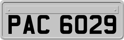 PAC6029