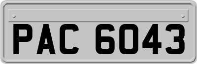 PAC6043