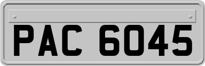 PAC6045