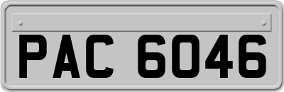 PAC6046