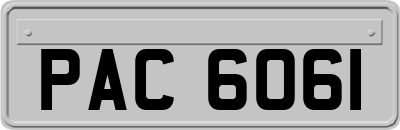 PAC6061