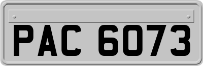 PAC6073