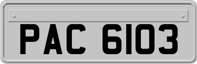 PAC6103