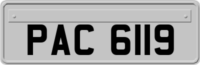 PAC6119