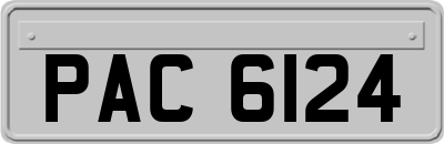 PAC6124