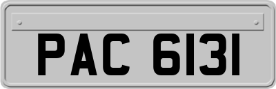 PAC6131