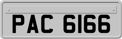 PAC6166