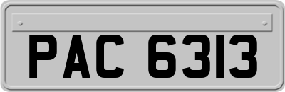 PAC6313