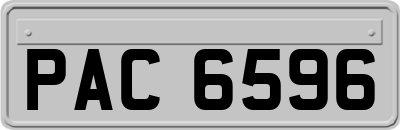 PAC6596