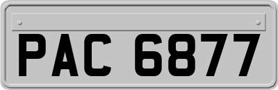 PAC6877