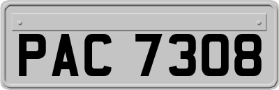 PAC7308