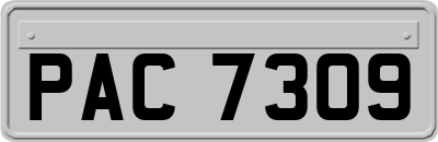 PAC7309