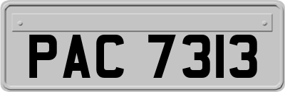 PAC7313