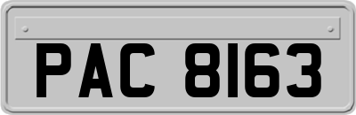 PAC8163