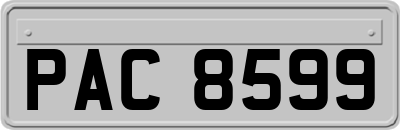 PAC8599