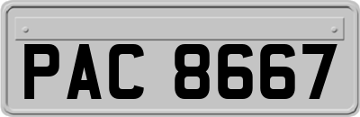 PAC8667