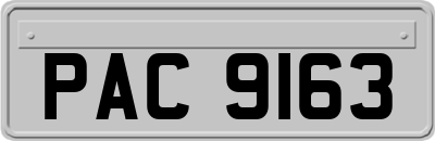 PAC9163