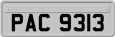 PAC9313