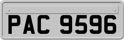 PAC9596