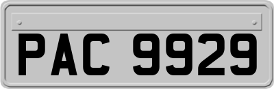 PAC9929