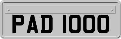 PAD1000