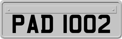 PAD1002