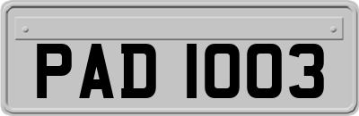 PAD1003