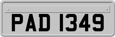 PAD1349