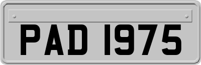 PAD1975