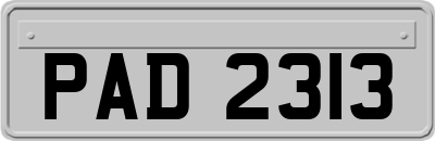 PAD2313