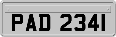 PAD2341