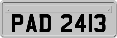 PAD2413