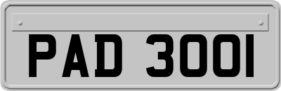 PAD3001