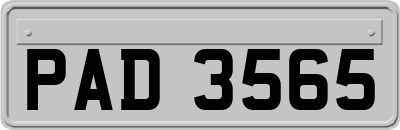 PAD3565