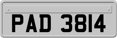 PAD3814