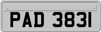 PAD3831