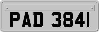 PAD3841