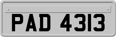 PAD4313