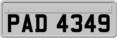 PAD4349