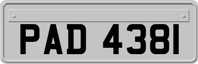 PAD4381