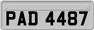PAD4487
