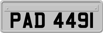PAD4491