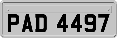 PAD4497